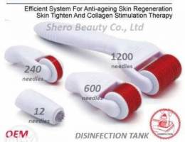 5 in 1 Derma Roller Set