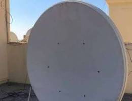 8feet dish