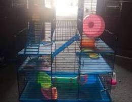 hamster cage 10bd negotiable used