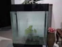 Fiberglass Aquarium For Sale for only Bd.1...