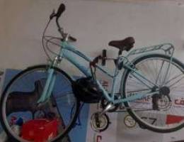 Schwinn bike