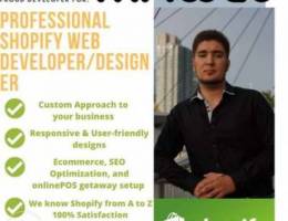 we will setup a professional shopify websi...