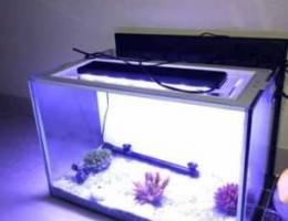 Aquarium for Sale