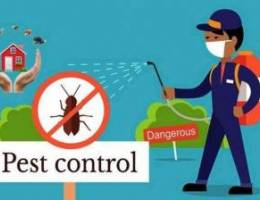 Pest control specialist