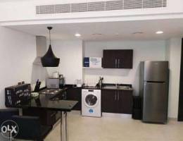 Fully Furnished 1Bedroom Apartment for ren...