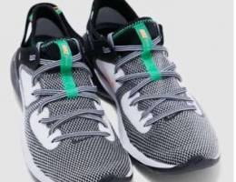 nike running shoes flex 219