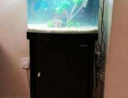 Aquariumfull set for sale