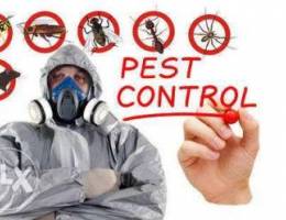 Rubeena cleaning pest control Ù…Ú©Ø§ÙØ­ØªÛ Û±Ù„Ø­Ø´...