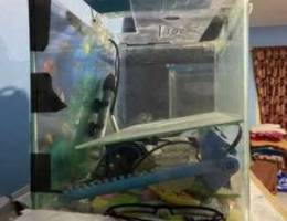 two aquariums for sale