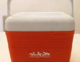 Branded Cosmoplast Ice Box