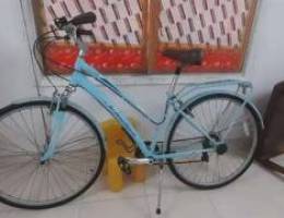 Schwinn bike