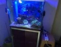 Aquarium for sale