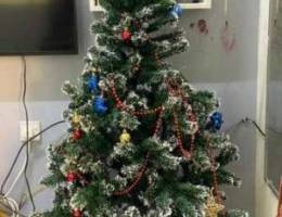 Xâ€™Mas tree and other Accessories