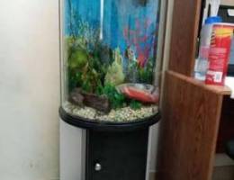 Half moon Aquarium (fish tank) 100 liters ...