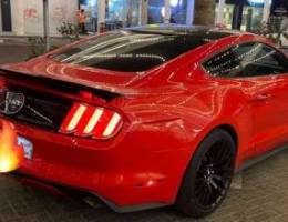 mustang 50 years premium