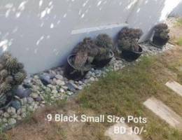 Small Size Black Pots