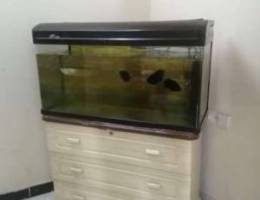 Aquarium tank and filter, stand