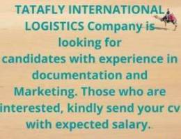 TATA FLY INTERNATIONAL LOGISTICS Company U...