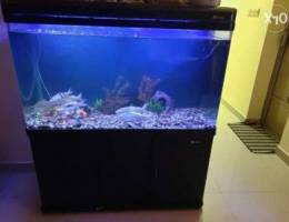 Fish tank for sale