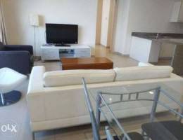 Fully Furnished Spacious&Bright apartment-...