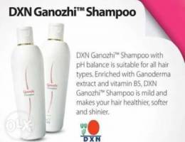 Dxn Ganozhi Shampoo