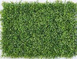 Grass for Wall:Size 40X60c