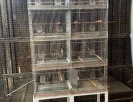 small canary cages