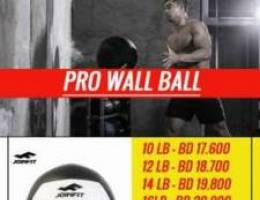 Pro Wall Ball