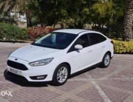 FORD FOCUS - 2015 - Very Good Condition - ...