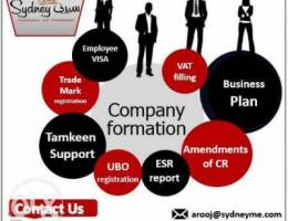 company formation with free consultant