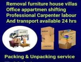 Furniture Mover Fixing Carpenter Flat Hous...