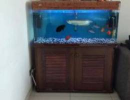 1.2 aquarium with fish