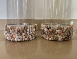 Seashells & Glasses Vases BRAND NEW