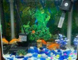 Small fish tank for sale