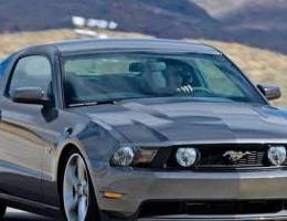 wonted Ù…Ø·Ù„ÙˆØ¨ mustang