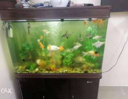 Fish tank for sale with 2 drawer cabinet