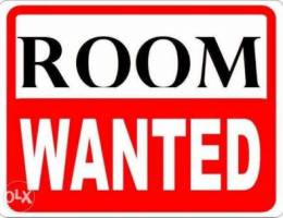 im looking for room or flat sharing (adliy...