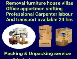 Mover packer Lowest Rate House Shifting Fu...