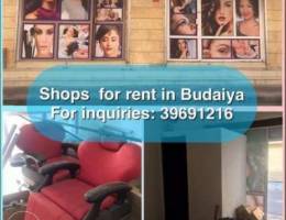 shops for rent