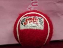 New hard cricket ball for sale