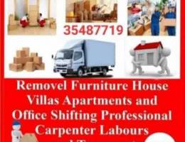 Professional mover packer service House of...