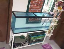 Aquarium and stand