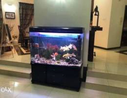 Fish Tank