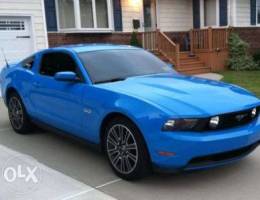 WANTED 2011-2012 mustang gt