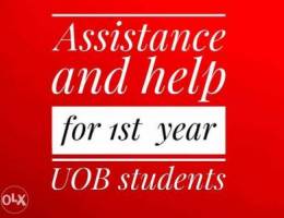 Assistance and help for first year busines...