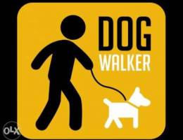 dog walker