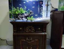 Planted aquarium for sale