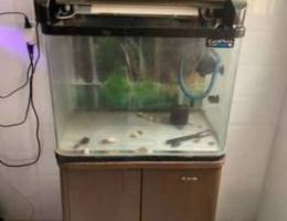 fish aquarium for sale