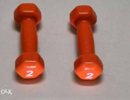 One Pair of Dumbbells