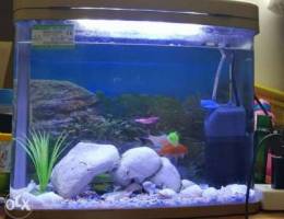 Fish aquarium for sale light and filter ev...